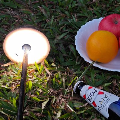Lampe champignon allumée noire sans fil rechargeable sur pelouse plat fruits bouteille biÚre