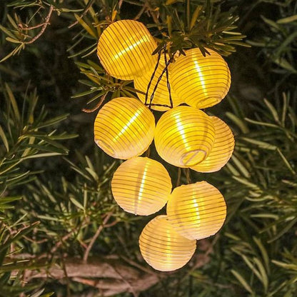 Guirlande solaire lanternes rondes dorées suspendues branches arbuste feuillage vert nuit, grappes lanternes lumière 