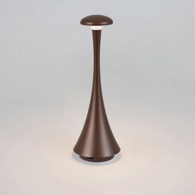 lampe champignon design chocolat sur fond neutre