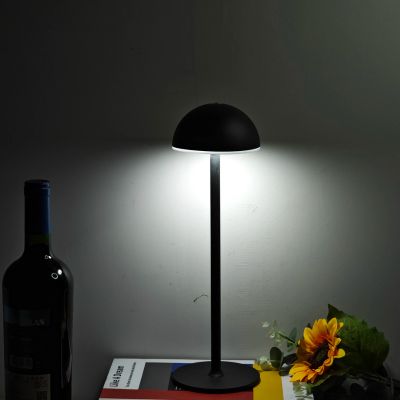 Lampe champignon allumée lumière blanche dans obscurité sur livre une marguerite bouteille vin  