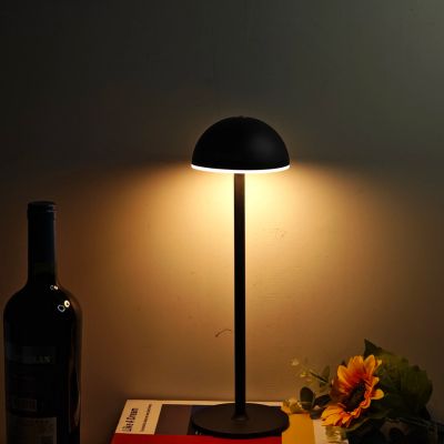 Lampe champignon allumée lumière chaude dans obscurité sur livre une marguerite bouteille vin  