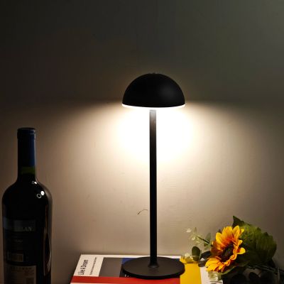Lampe champignon allumée lumière neutre dans obscurité sur livre une marguerite bouteille vin  