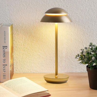 lampe champignon dorée allumée table bois livre ouvert plante fleurs ambiance nordique
