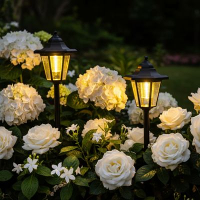Lampe solaire exterieur lanternes avec piquets dans jardin de fleurs blanches